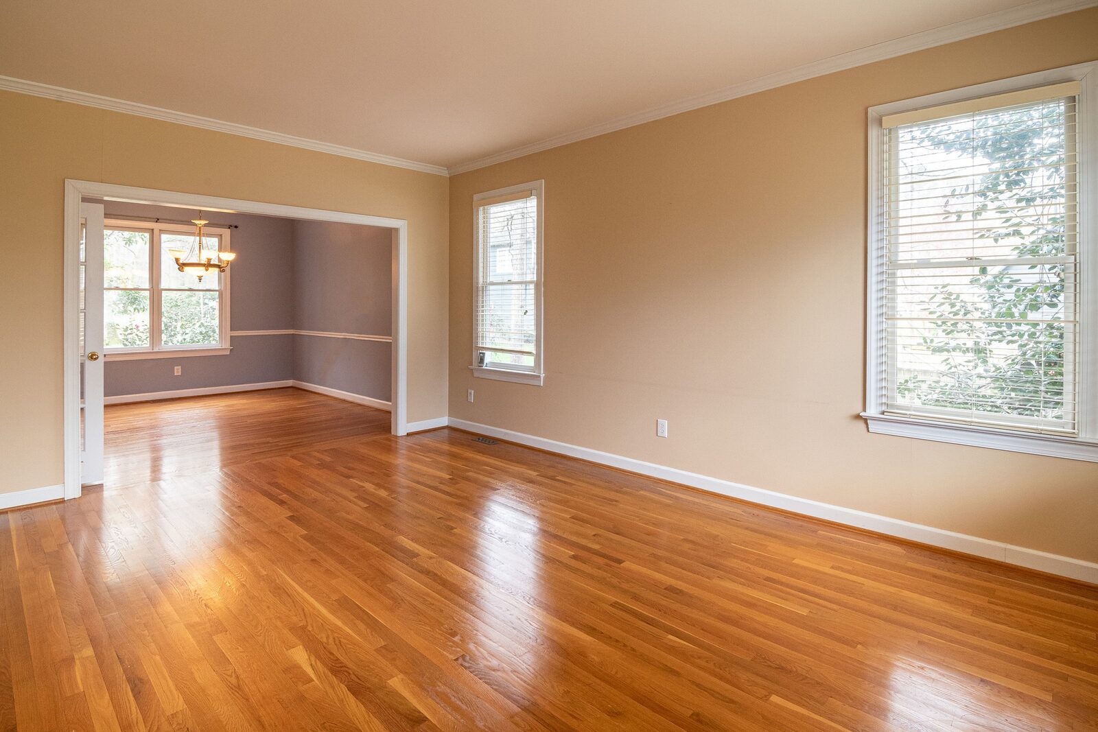 Remodeling project